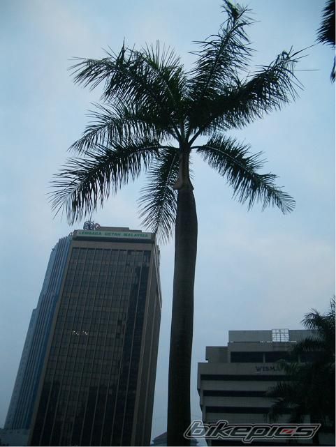 Photo 2177715