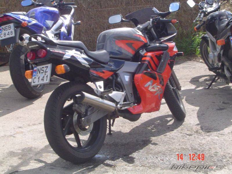 Photo 217779