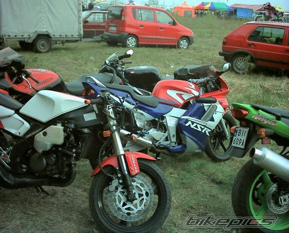 Photo 217781