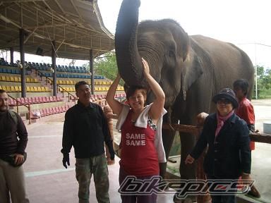 Photo 2177821
