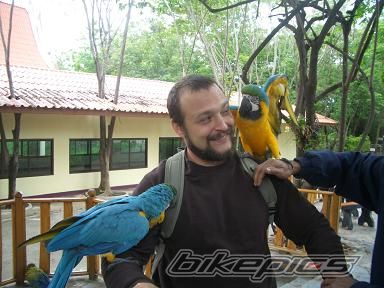 Photo 2177823