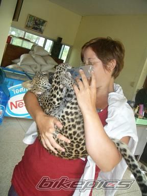 Photo 2177824