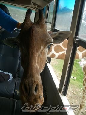 Photo 2177829