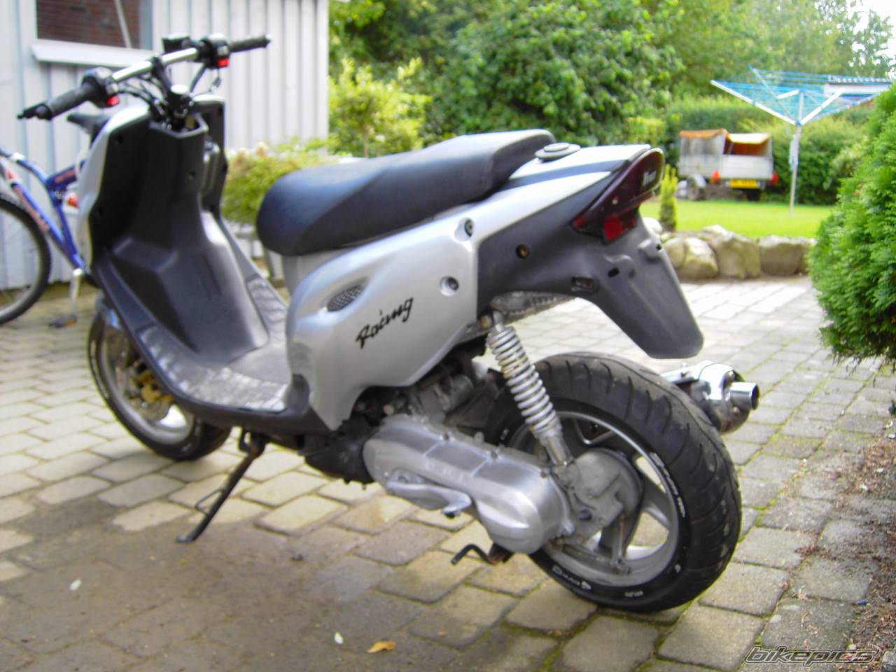 Photo 217805