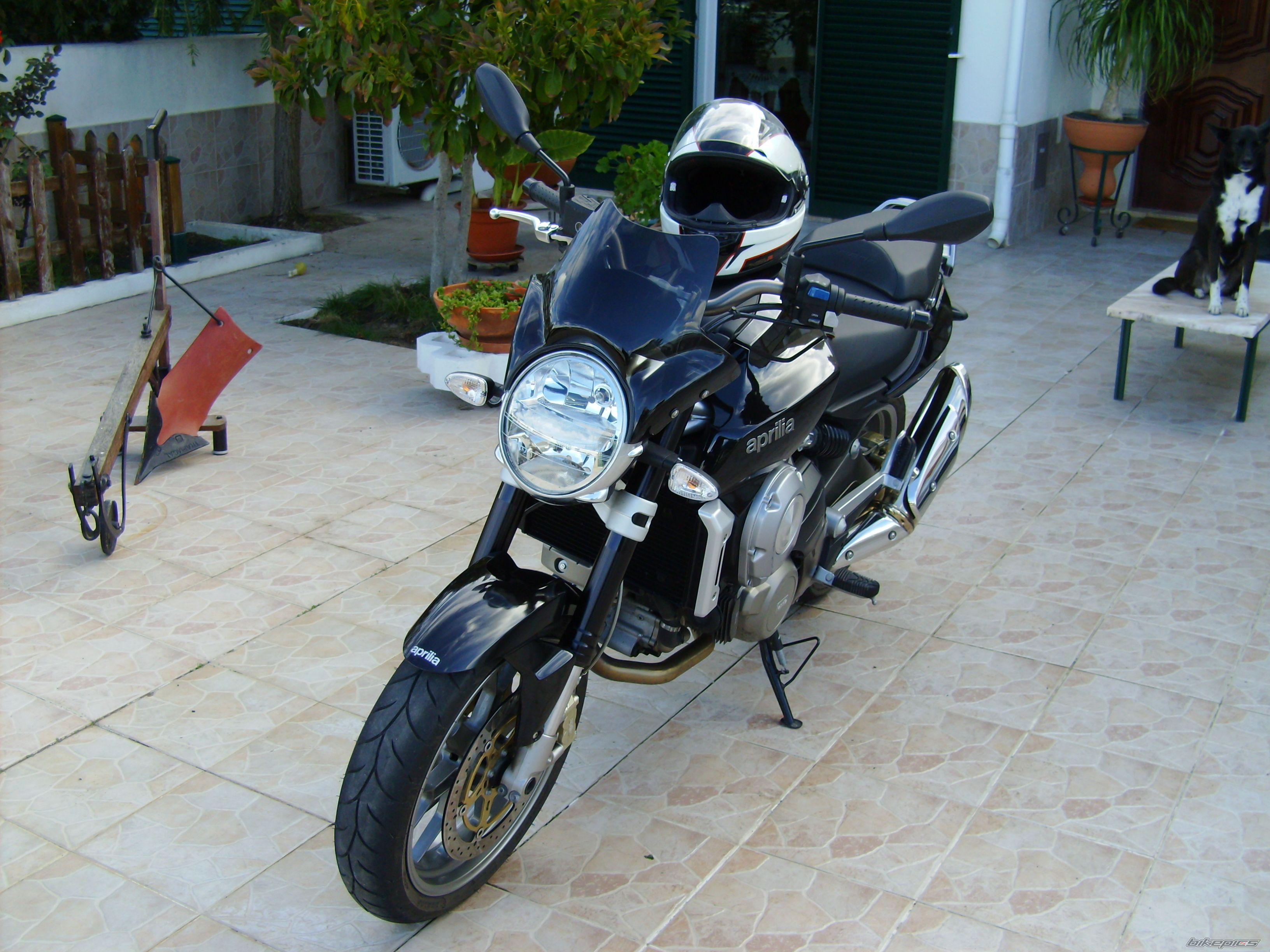 Photo 2178159