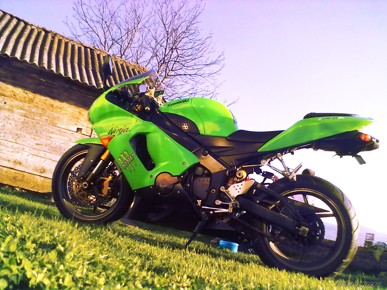 Photo 2178371