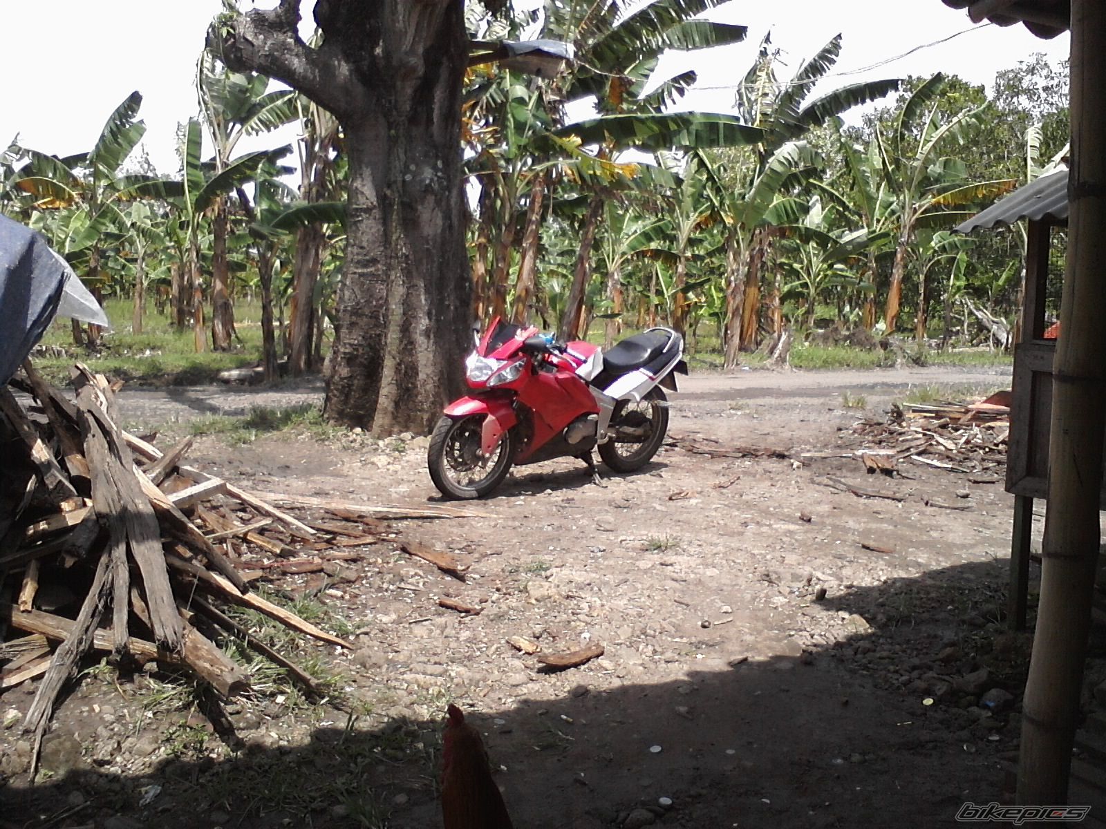 Photo 2178410