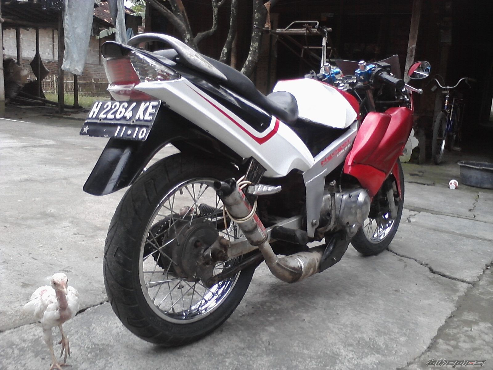 Photo 2178425