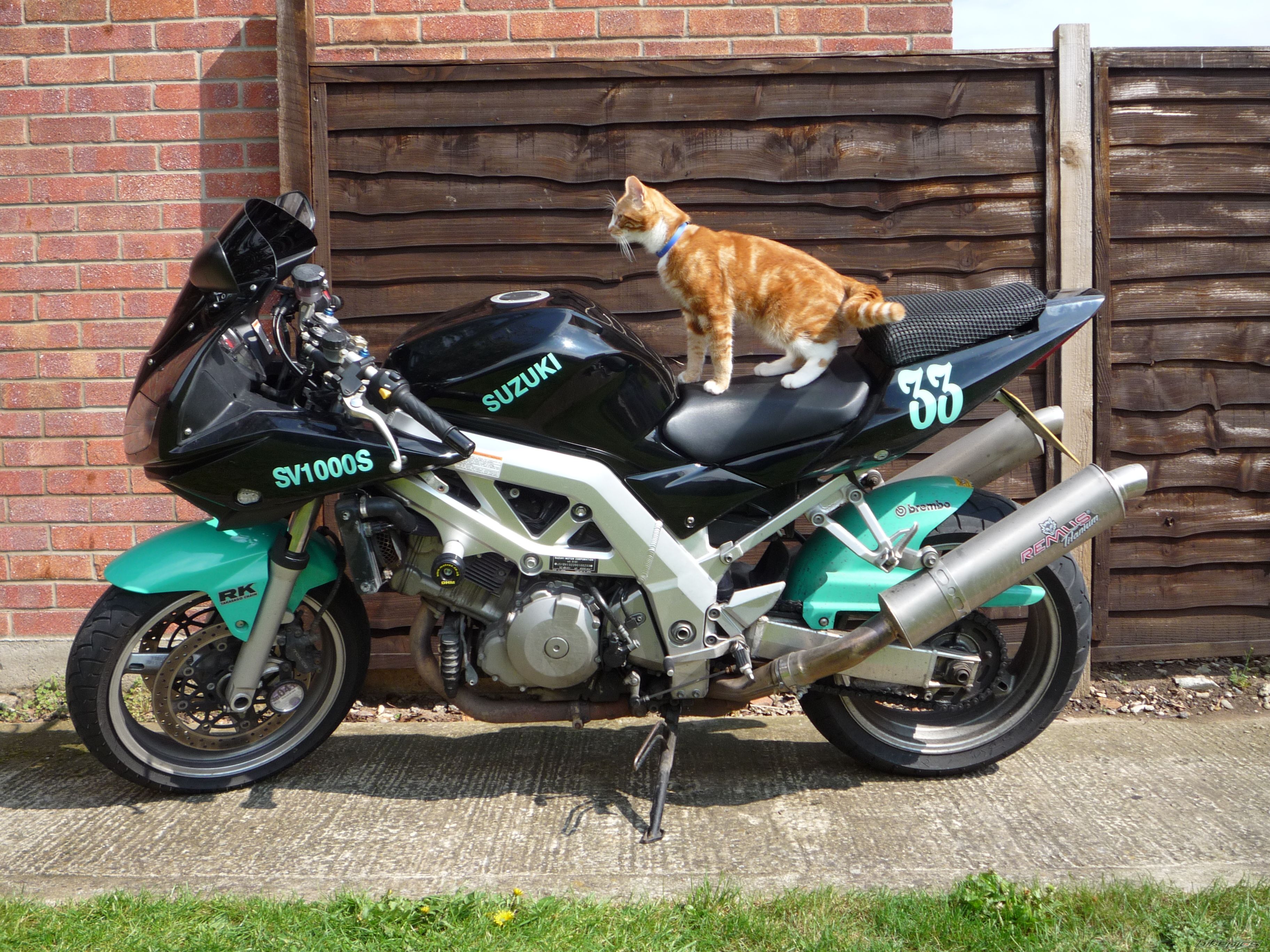 Bike Photo 2178503