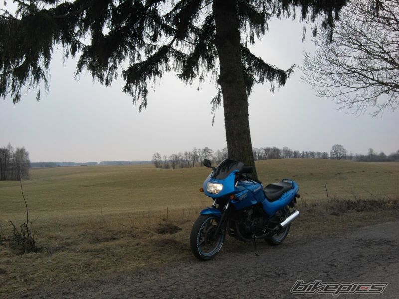 Photo 2178574