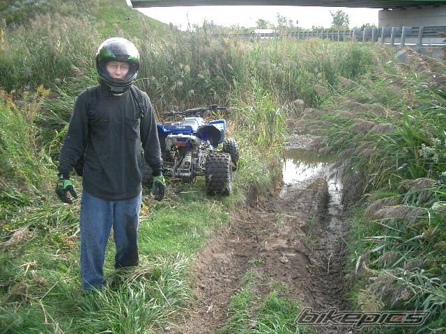 Photo 217868
