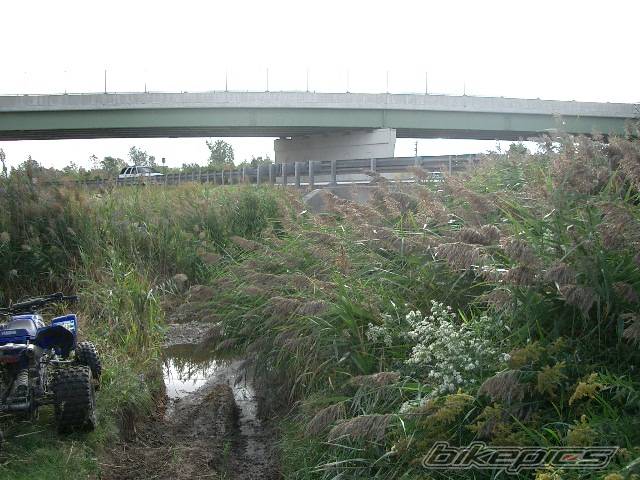 Photo 217869