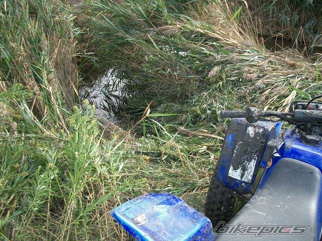 Photo 217870