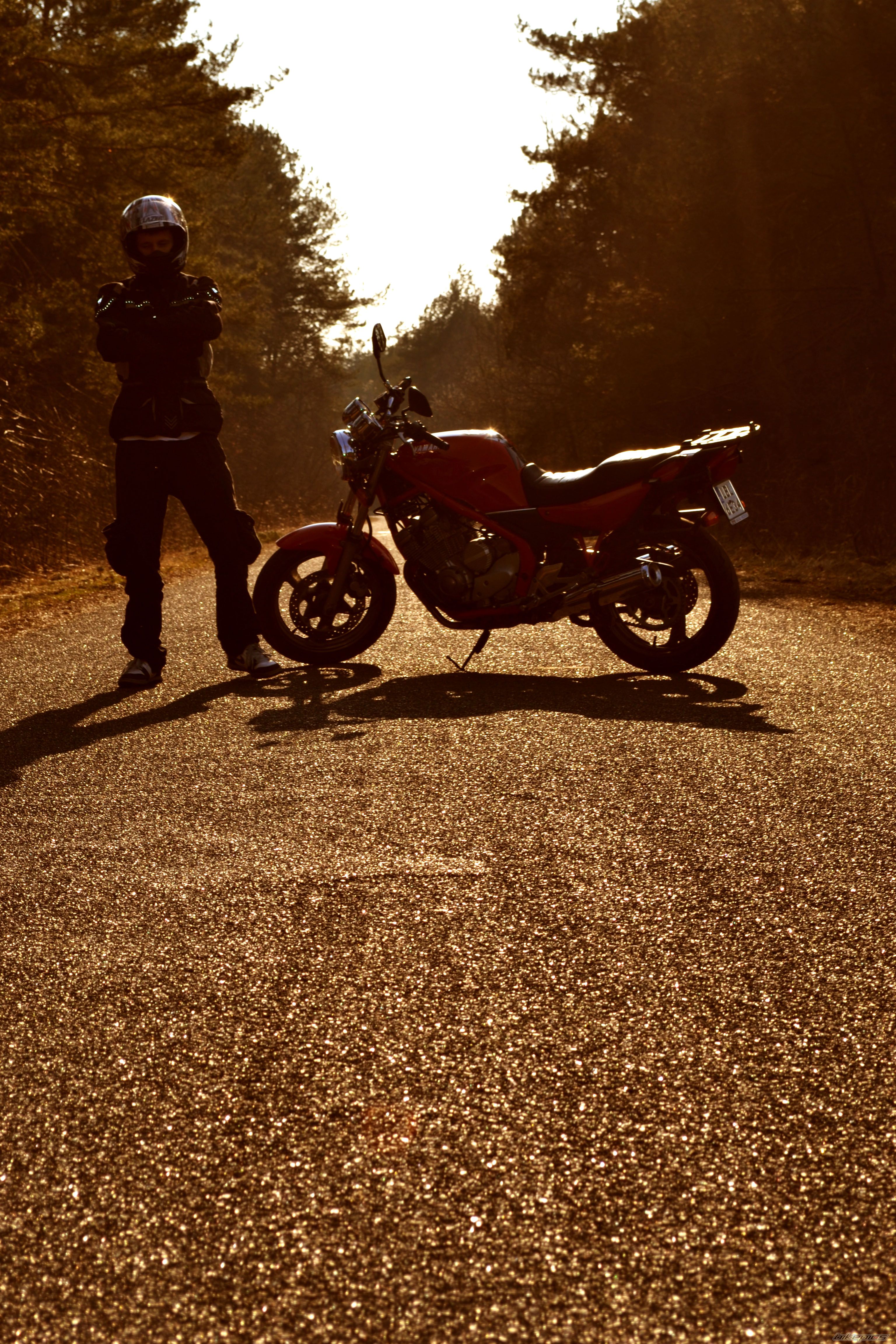 Photo 2178705