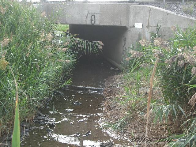 Photo 217871