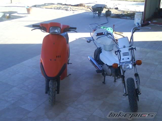 Photo 2178731