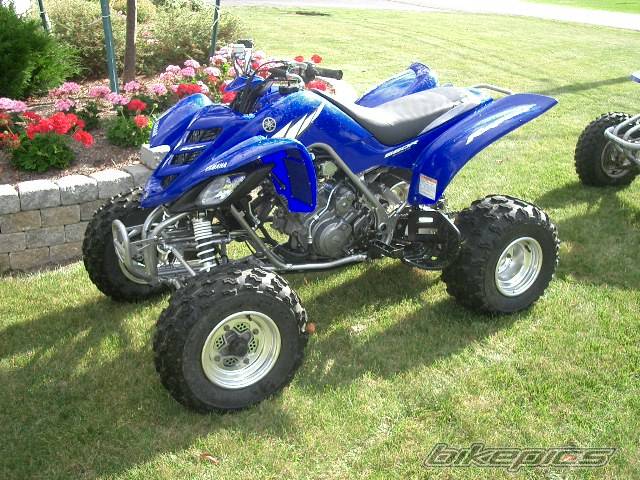 Photo 217877