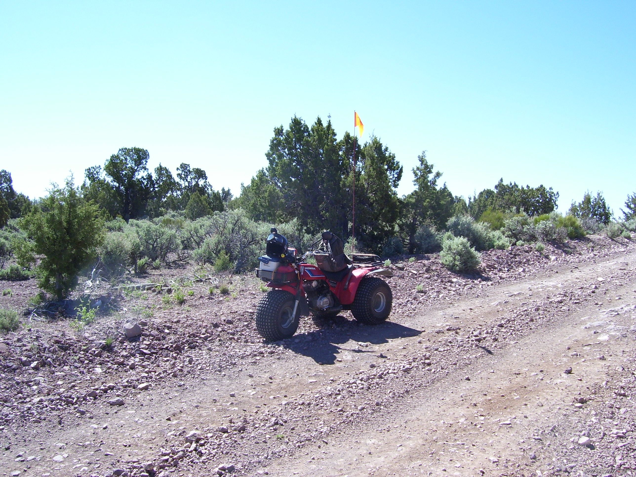 Photo 2178813
