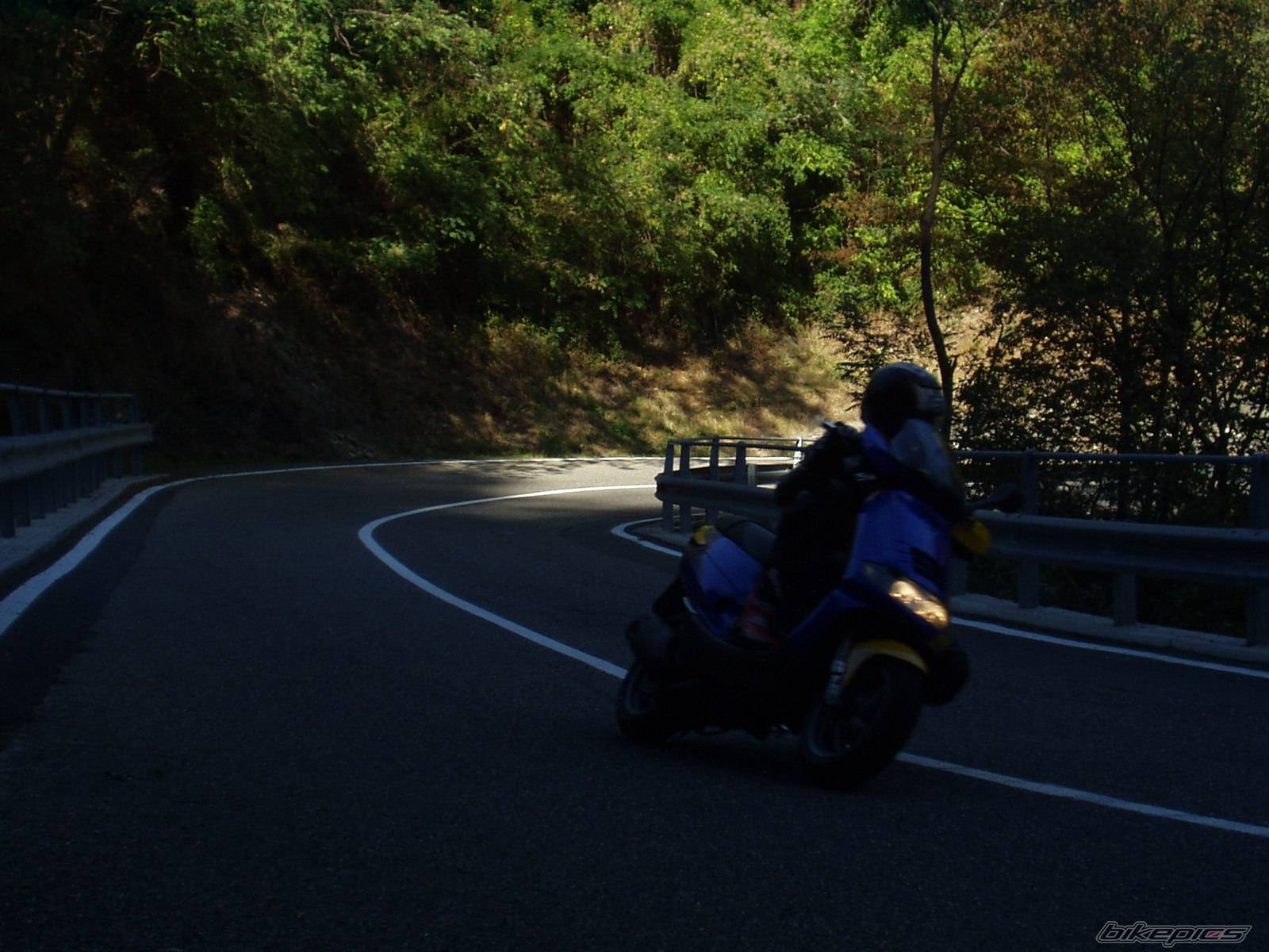 Photo 217882