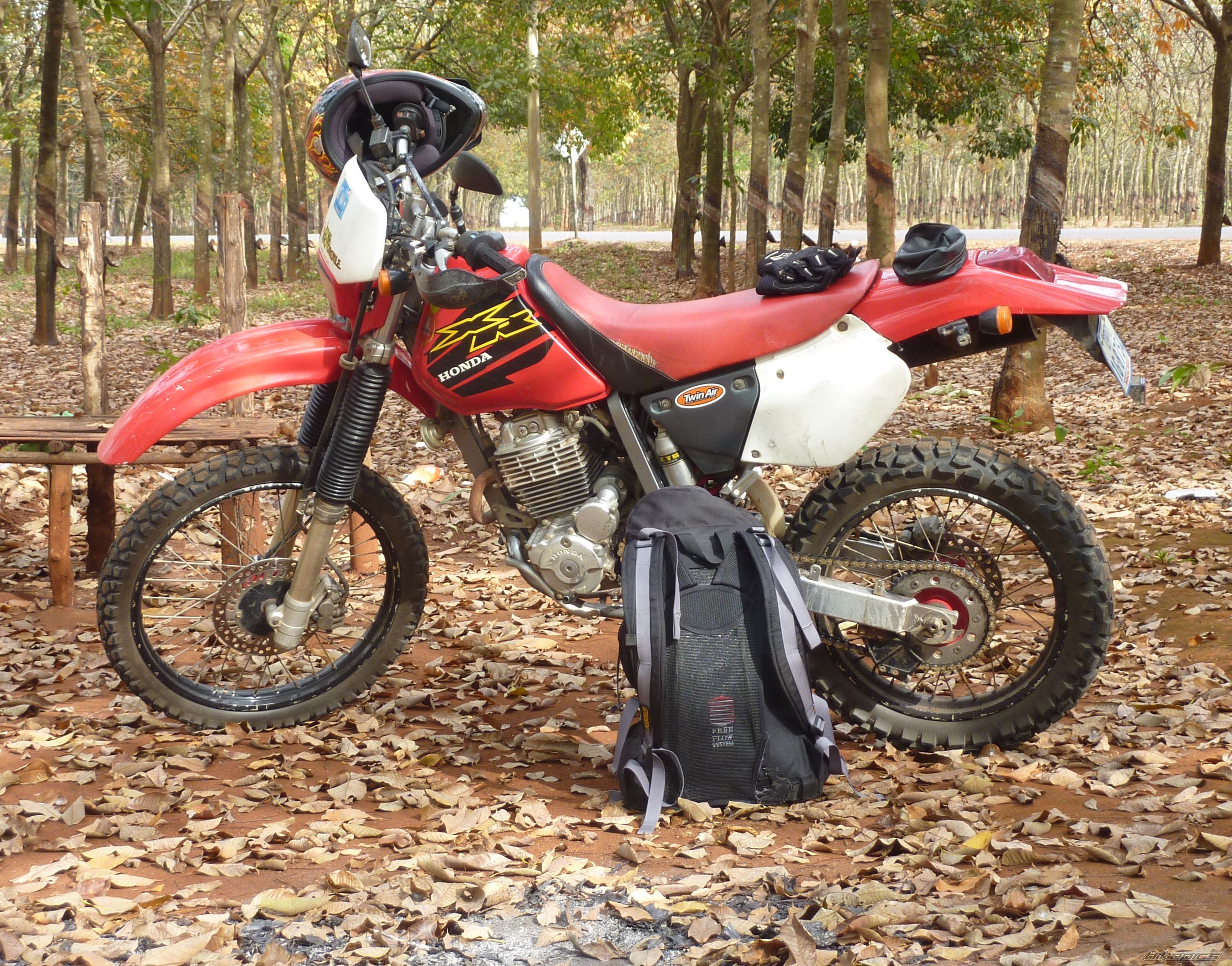 Photo 2178854