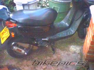 Photo 217896