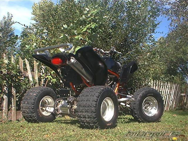 Photo 217898