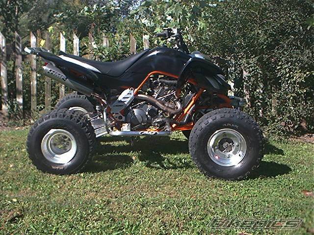 Photo 217902