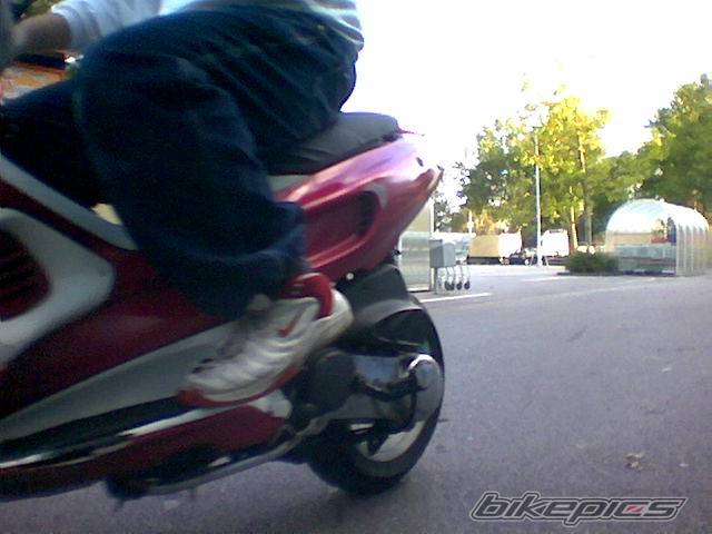 Photo 217903