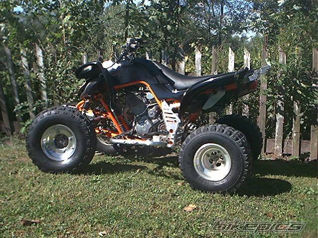 Photo 217905
