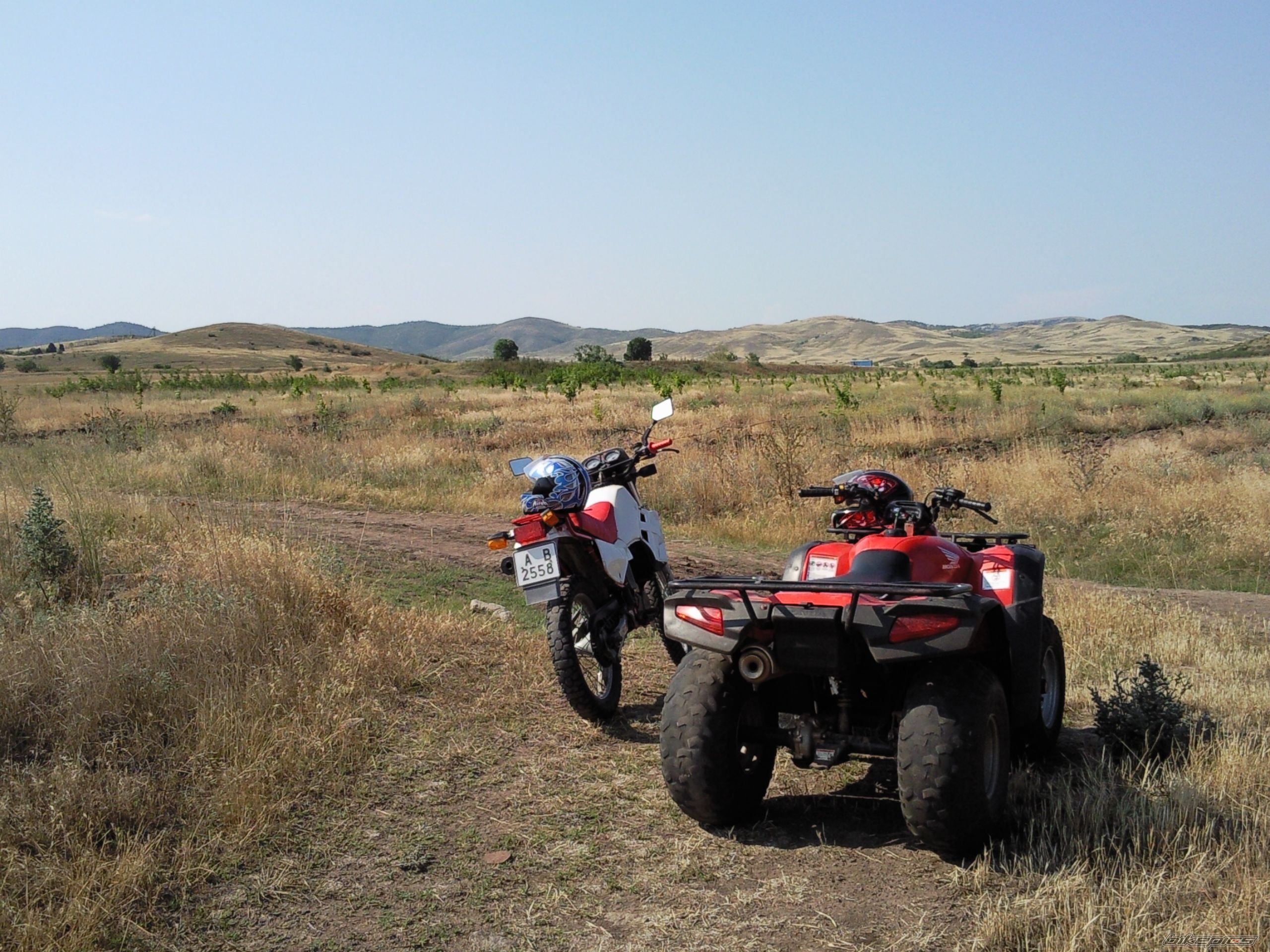 Photo 2179053