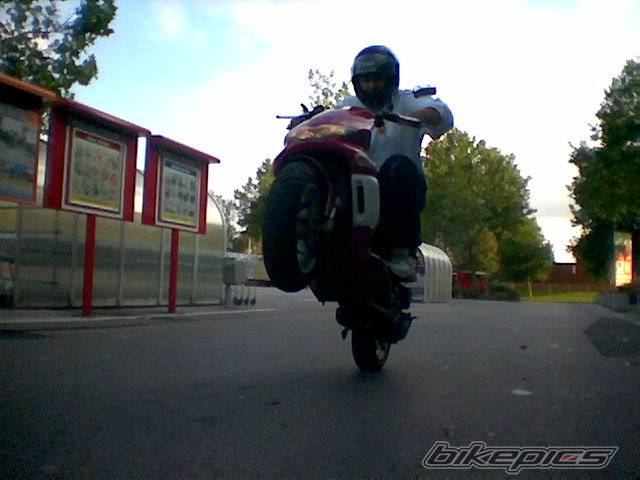 Photo 217906