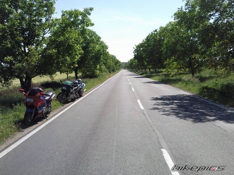 Photo 2179062