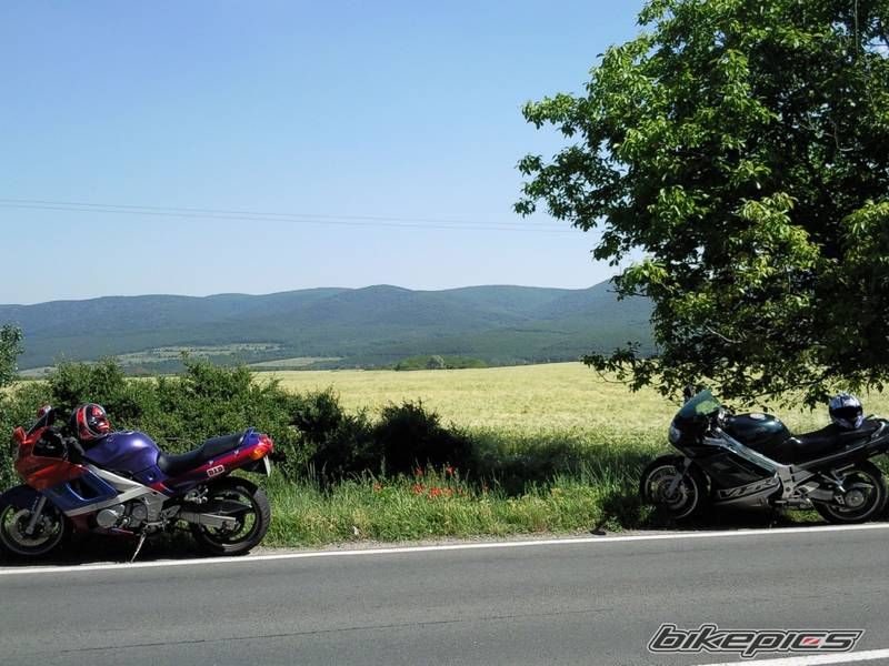 Photo 2179063