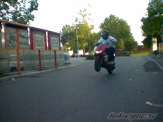 Photo 217913