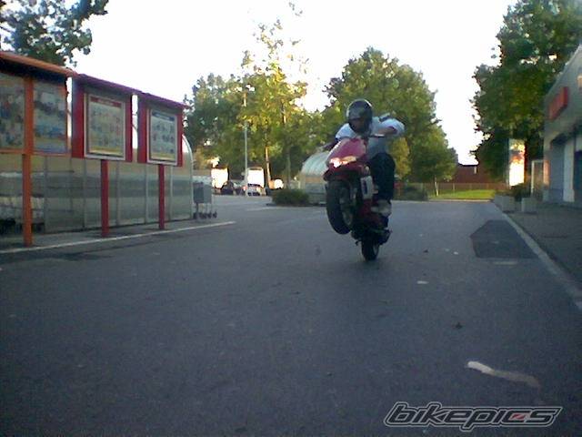 Photo 217914
