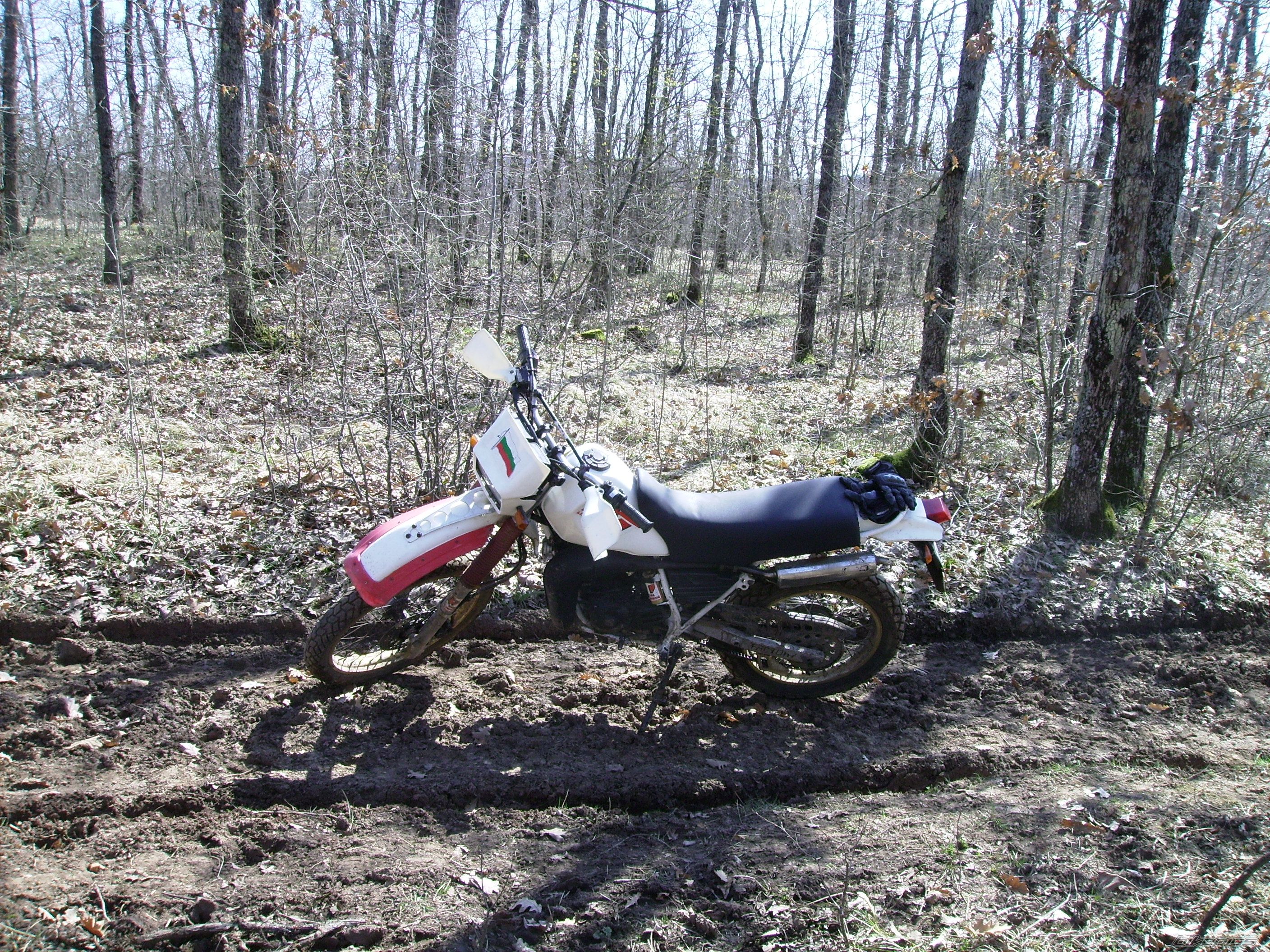 Photo 2179148