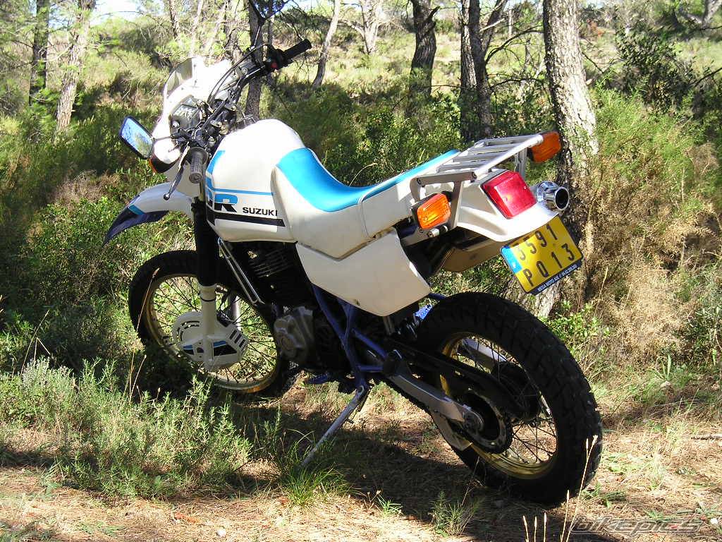 Photo 217915
