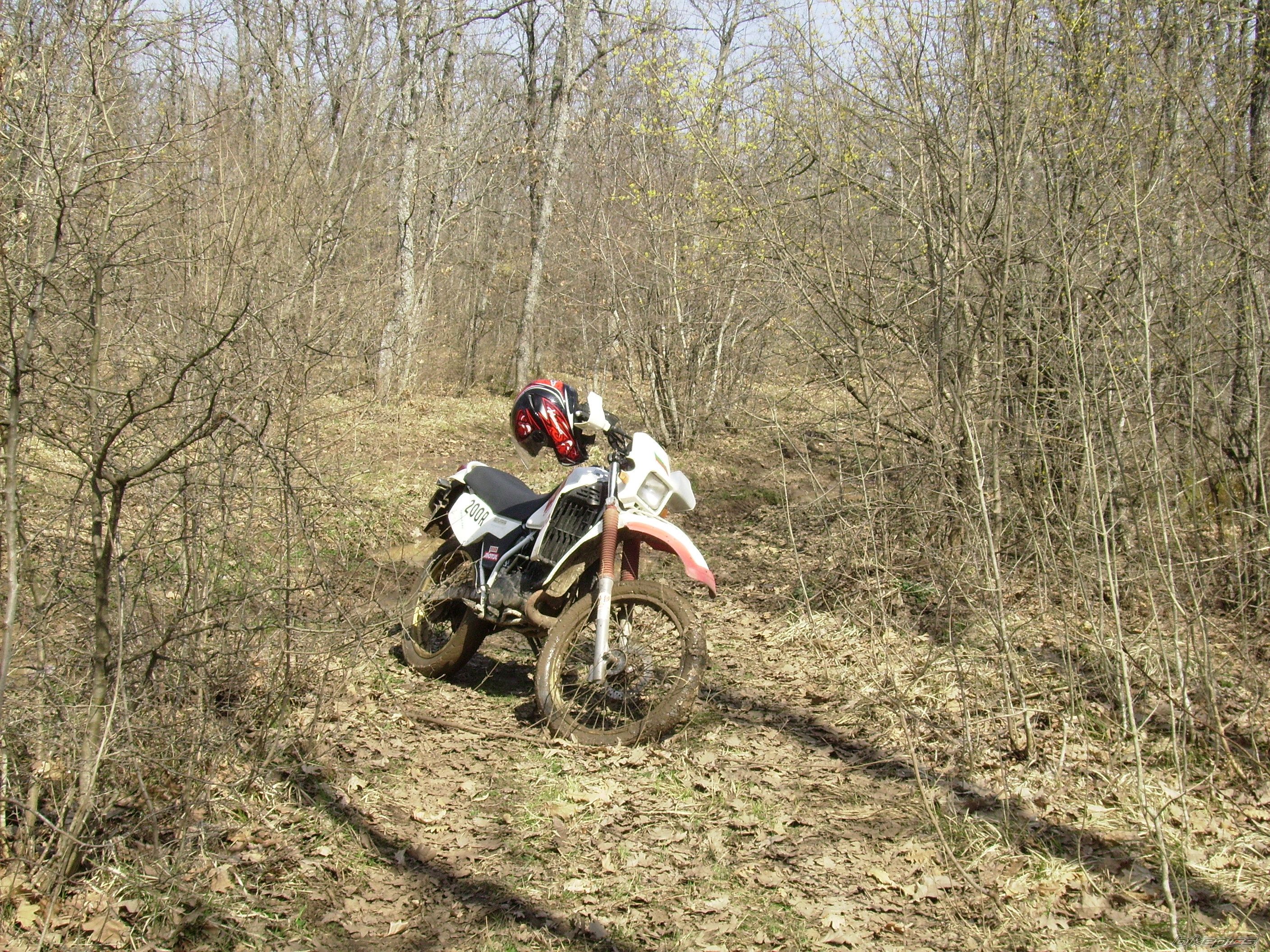 Photo 2179153