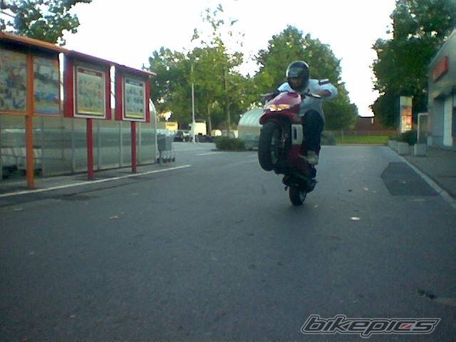 Photo 217918