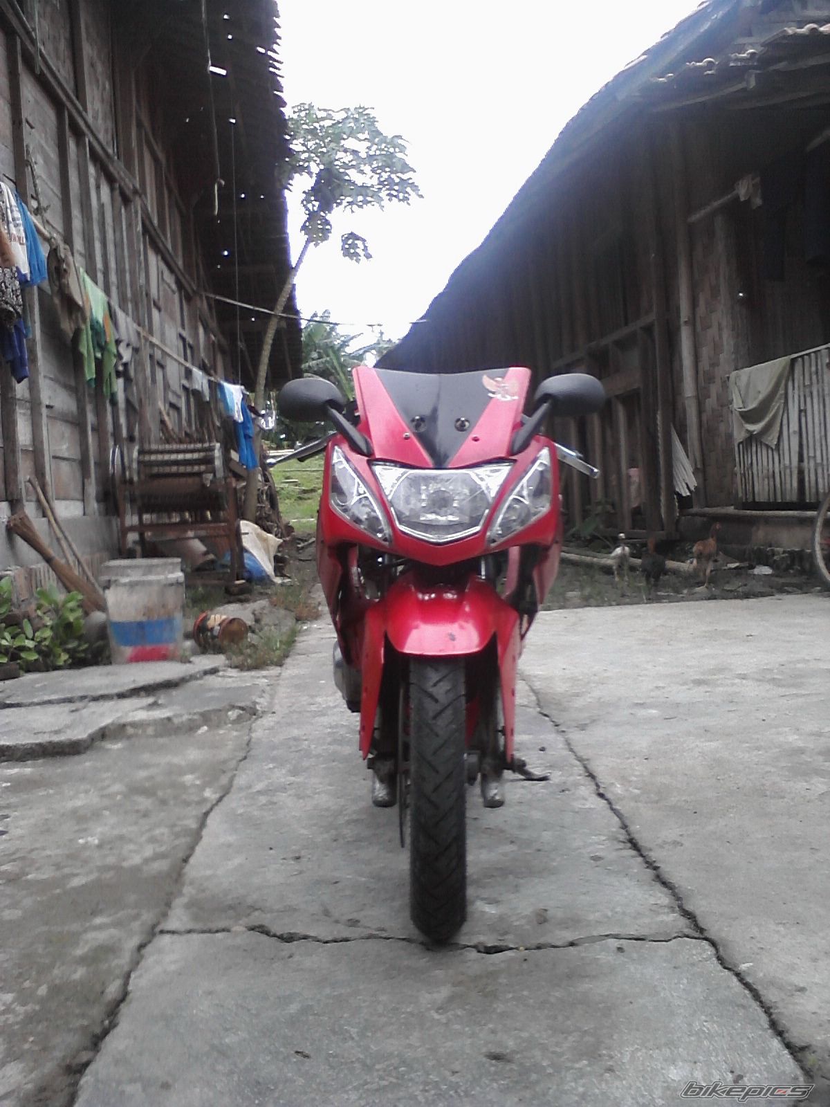 Photo 2179339