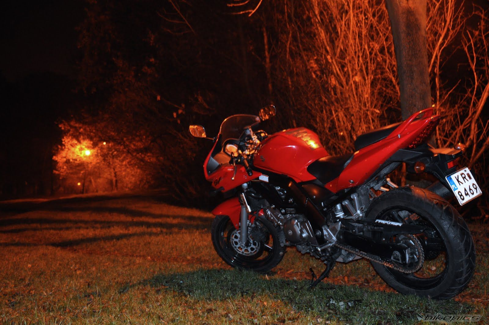 Photo 2179389