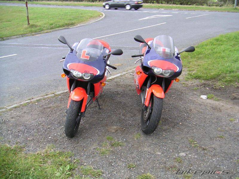 Photo 217944