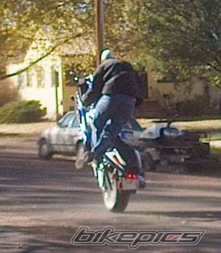 Photo 21795