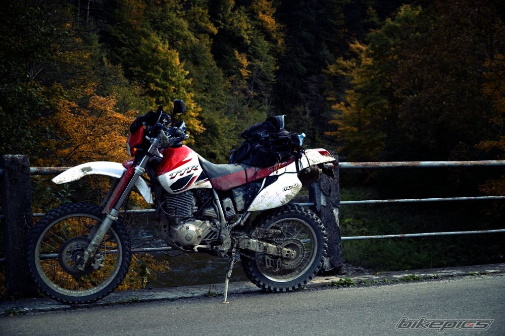 Bike Photo 2179506