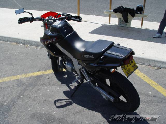 Photo 217952