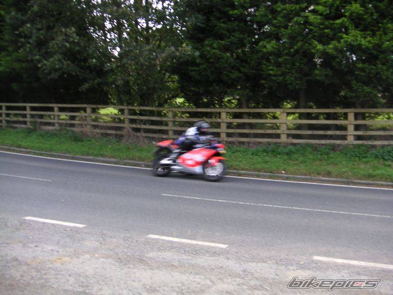 Photo 217965