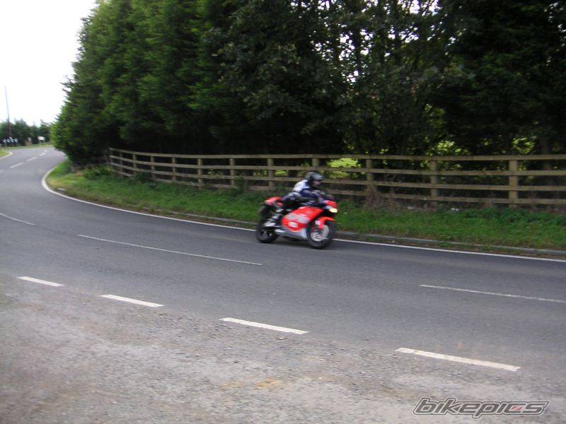 Photo 217968