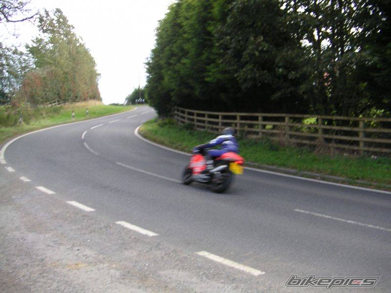 Photo 217969