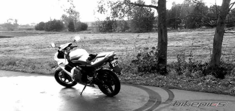 Photo 2179690