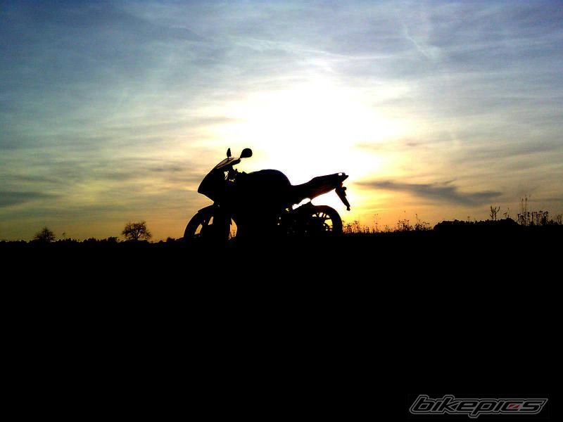 Photo 2179692